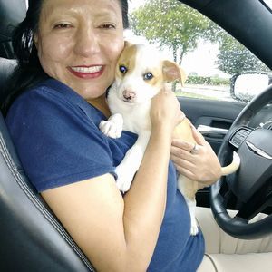 Meet your Posher, Maria